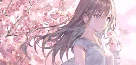 番茄短剧